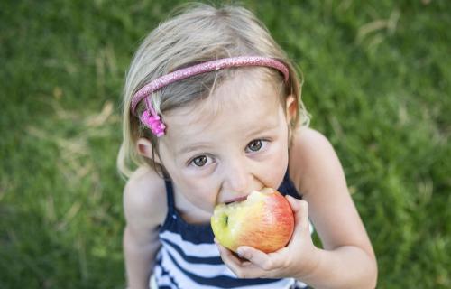 Apple season at Das Grafenstein